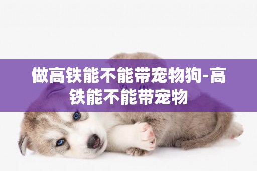做高鐵能不能帶寵物狗-高鐵能不能帶寵物