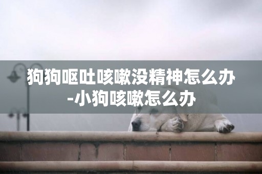 狗狗嘔吐咳嗽沒精神怎么辦-小狗咳嗽怎么辦