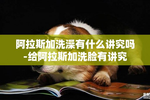 阿拉斯加洗澡有什么講究嗎-給阿拉斯加洗臉有講究