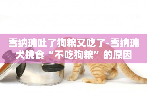 雪納瑞吐了狗糧又吃了-雪納瑞犬挑食“不吃狗糧”的原因