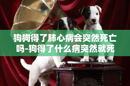 狗狗得了肺心病會突然死亡嗎-狗得了什么病突然就死了