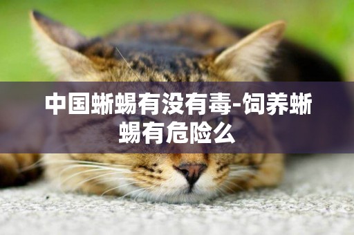 中國蜥蜴有沒有毒-飼養蜥蜴有危險么
