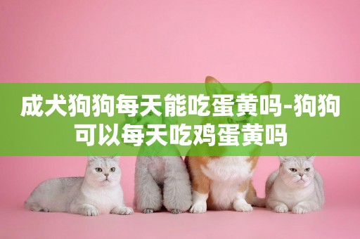 成犬狗狗每天能吃蛋黃嗎-狗狗可以每天吃雞蛋黃嗎