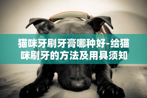 貓咪牙刷牙膏哪種好-給貓咪刷牙的方法及用具須知