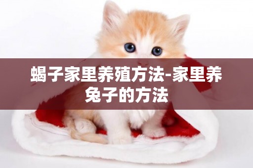 蝎子家里養殖方法-家里養兔子的方法