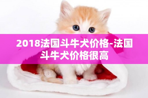 2018法國斗牛犬價格-法國斗牛犬價格很高