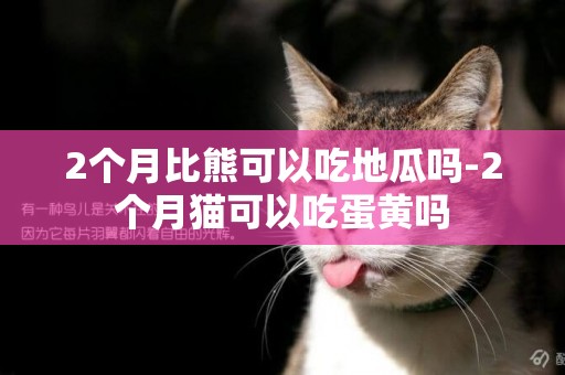 2個月比熊可以吃地瓜嗎-2個月貓可以吃蛋黃嗎
