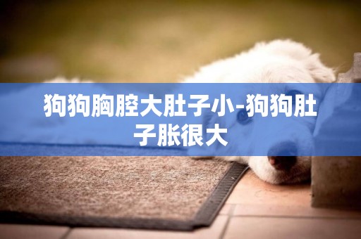 狗狗胸腔大肚子小-狗狗肚子脹很大