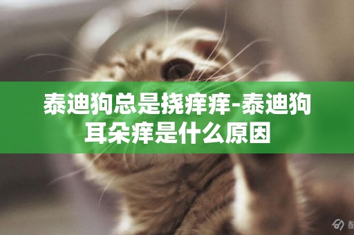 泰迪狗總是撓癢癢-泰迪狗耳朵癢是什么原因