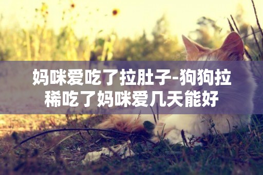 媽咪愛吃了拉肚子-狗狗拉稀吃了媽咪愛幾天能好