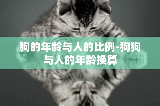 狗的年齡與人的比例-狗狗與人的年齡換算