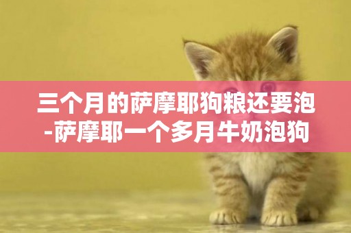 三個月的薩摩耶狗糧還要泡-薩摩耶一個多月牛奶泡狗糧可以嗎