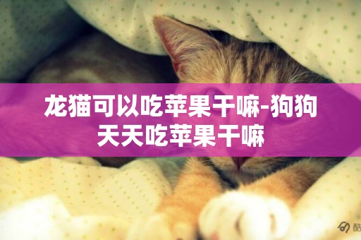 龍貓可以吃蘋果干嘛-狗狗天天吃蘋果干嘛