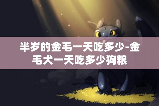 半歲的金毛一天吃多少-金毛犬一天吃多少狗糧