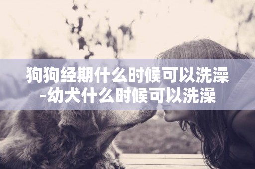 狗狗經期什么時候可以洗澡-幼犬什么時候可以洗澡