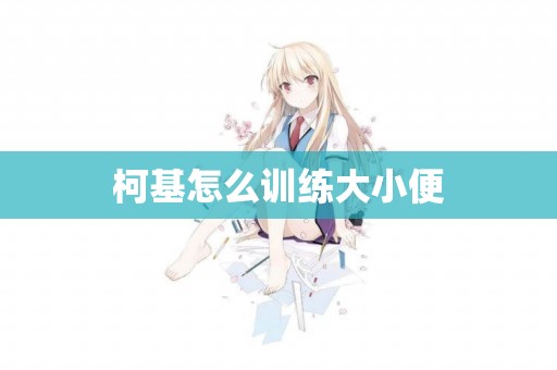 柯基怎么訓練大小便