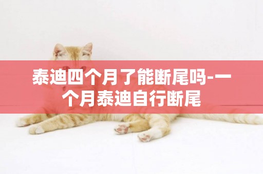 泰迪四個月了能斷尾嗎-一個月泰迪自行斷尾