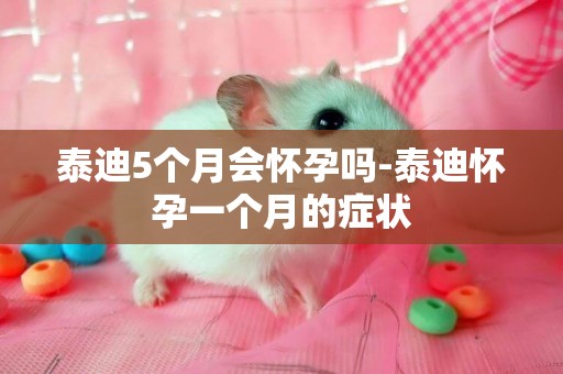 泰迪5個月會懷孕嗎-泰迪懷孕一個月的癥狀