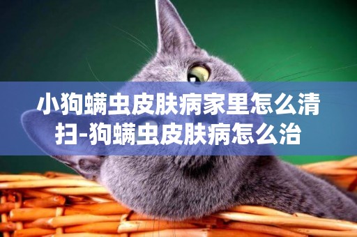 小狗螨蟲皮膚病家里怎么清掃-狗螨蟲皮膚病怎么治