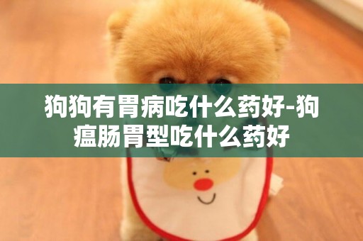狗狗有胃病吃什么藥好-狗瘟腸胃型吃什么藥好