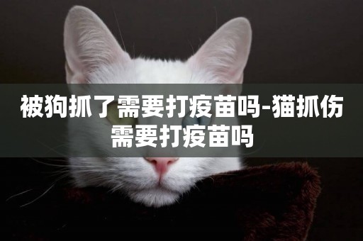 被狗抓了需要打疫苗嗎-貓抓傷需要打疫苗嗎