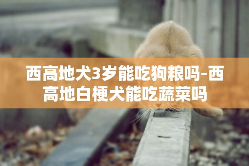 西高地犬3歲能吃狗糧嗎-西高地白梗犬能吃蔬菜嗎