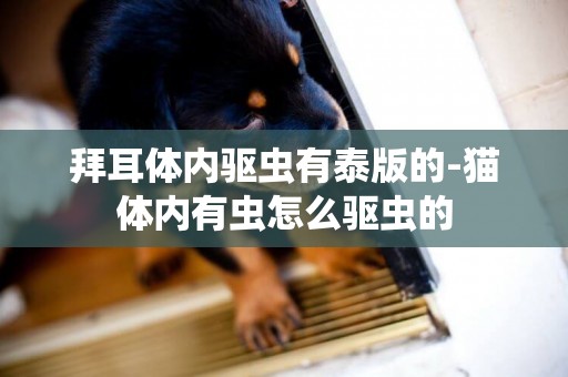 拜耳體內驅蟲有泰版的-貓體內有蟲怎么驅蟲的
