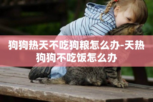 狗狗熱天不吃狗糧怎么辦-天熱狗狗不吃飯怎么辦