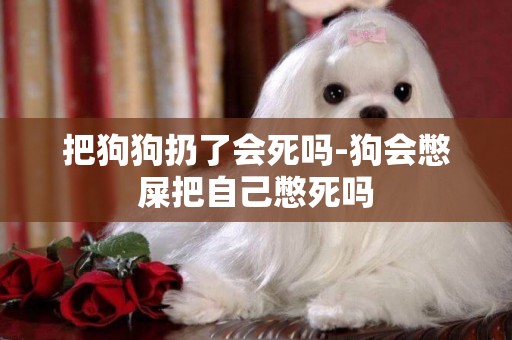 把狗狗扔了會死嗎-狗會憋屎把自己憋死嗎