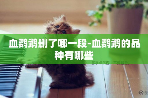 血鸚鵡刪了哪一段-血鸚鵡的品種有哪些