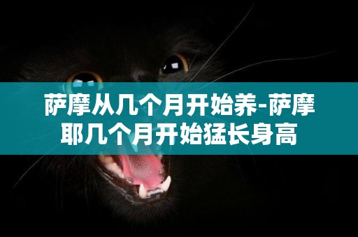 薩摩從幾個月開始養-薩摩耶幾個月開始猛長身高