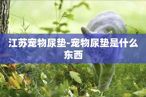 江蘇寵物尿墊-寵物尿墊是什么東西