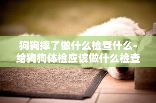 狗狗摔了做什么檢查什么-給狗狗體檢應該做什么檢查