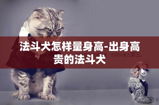 法斗犬怎樣量身高-出身高貴的法斗犬