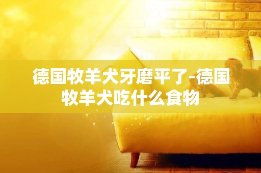 德國牧羊犬牙磨平了-德國牧羊犬吃什么食物