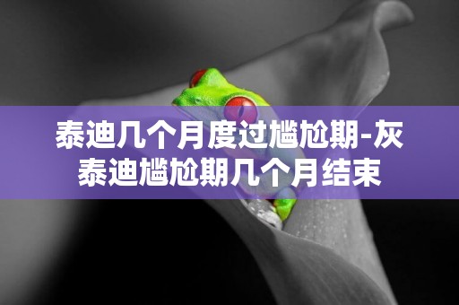 泰迪幾個月度過尷尬期-灰泰迪尷尬期幾個月結束