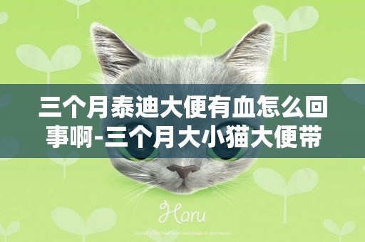 三個月泰迪大便有血怎么回事啊-三個月大小貓大便帶血絲怎么回事啊