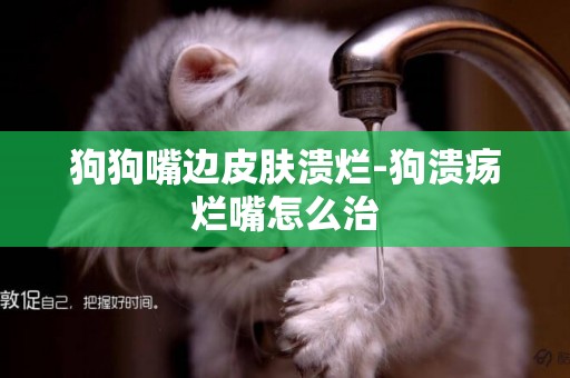 狗狗嘴邊皮膚潰爛-狗潰瘍爛嘴怎么治