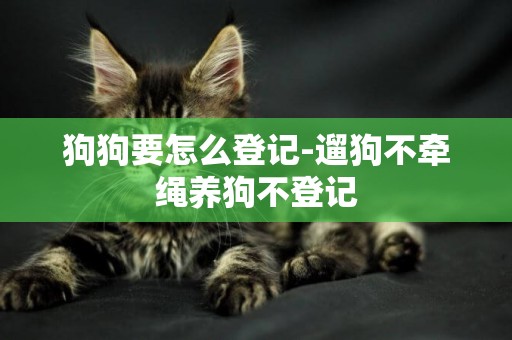 狗狗要怎么登記-遛狗不牽繩養狗不登記