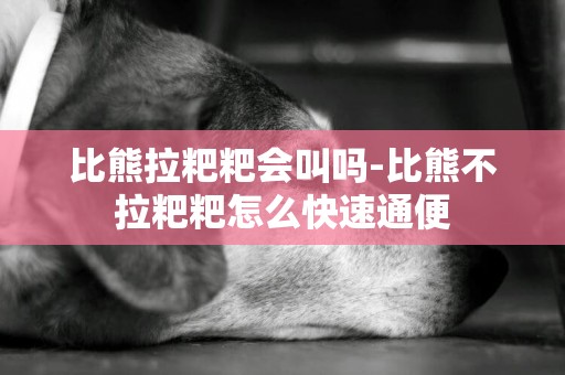 比熊拉粑粑會叫嗎-比熊不拉粑粑怎么快速通便