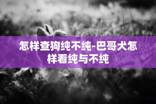 怎樣查狗純不純-巴哥犬怎樣看純與不純