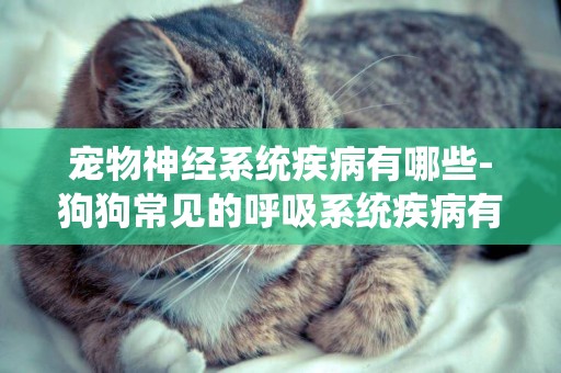 寵物神經系統疾病有哪些-狗狗常見的呼吸系統疾病有哪些