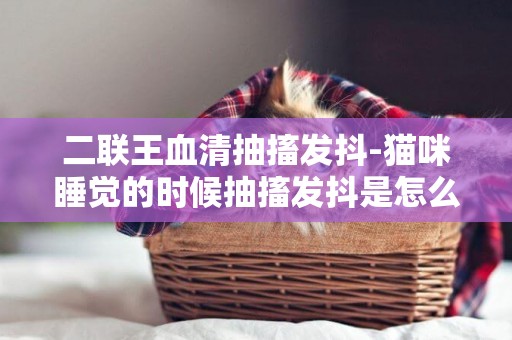 二聯王血清抽搐發抖-貓咪睡覺的時候抽搐發抖是怎么回事