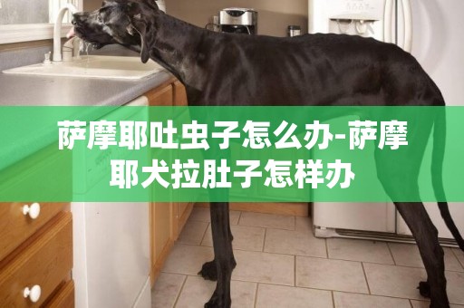 薩摩耶吐蟲子怎么辦-薩摩耶犬拉肚子怎樣辦