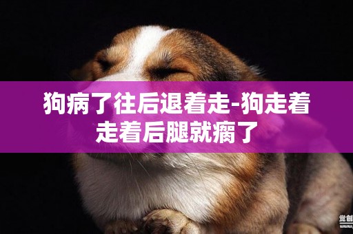 狗病了往后退著走-狗走著走著后腿就瘸了