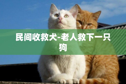 民間收救犬-老人救下一只狗