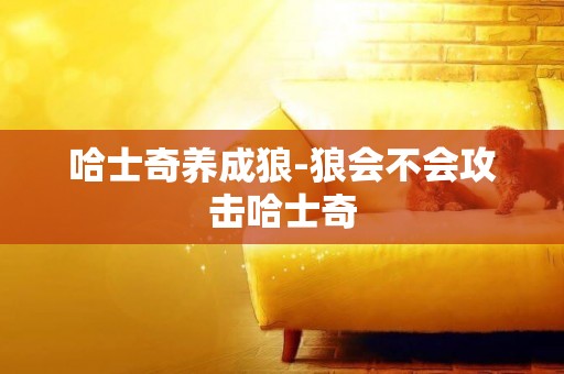 哈士奇養成狼-狼會不會攻擊哈士奇