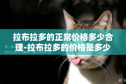 拉布拉多的正常價格多少合理-拉布拉多的價格是多少