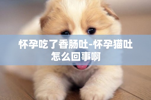 懷孕吃了香腸吐-懷孕貓吐怎么回事啊