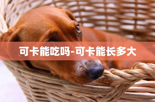 可卡能吃嗎-可卡能長多大